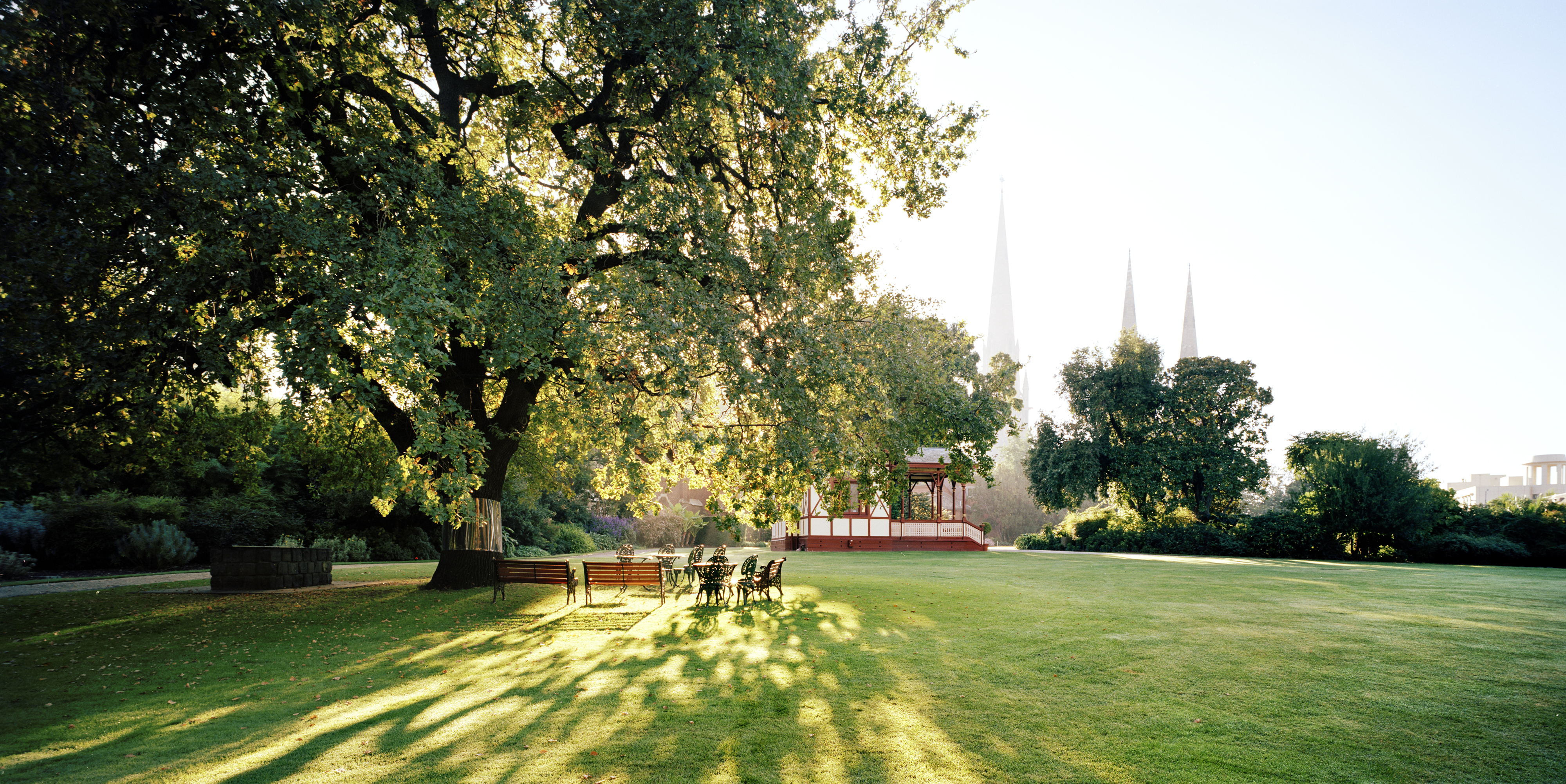 A misty early morning on a green lawn in the garden. Chairs and tables are grouped under a large tree. Sunlight is streaming through the branches and casting shadows on the grass.  A pavilion can be seen in the background, and  in the distance there is three church spires. 