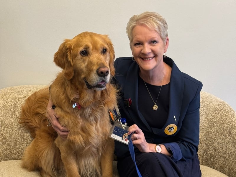 The five-year-old Golden Retriever had a special security pass for his visit, which included meeting Legislative Assembly Speaker Maree Edwards.