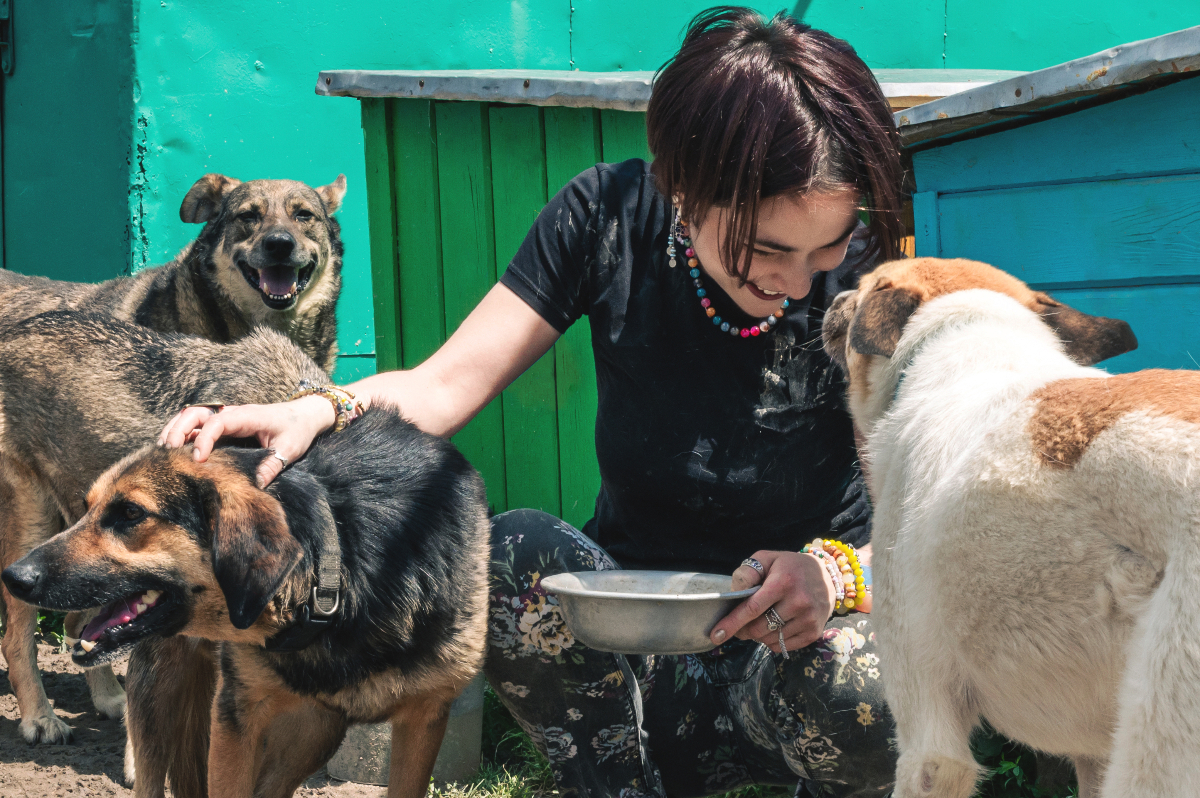 Measures debated to support pet rescuers