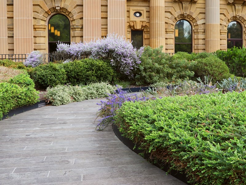 Diverse pathways to parliament