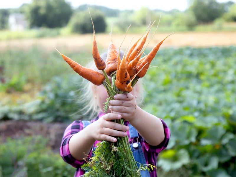 Supplying our fresh food future