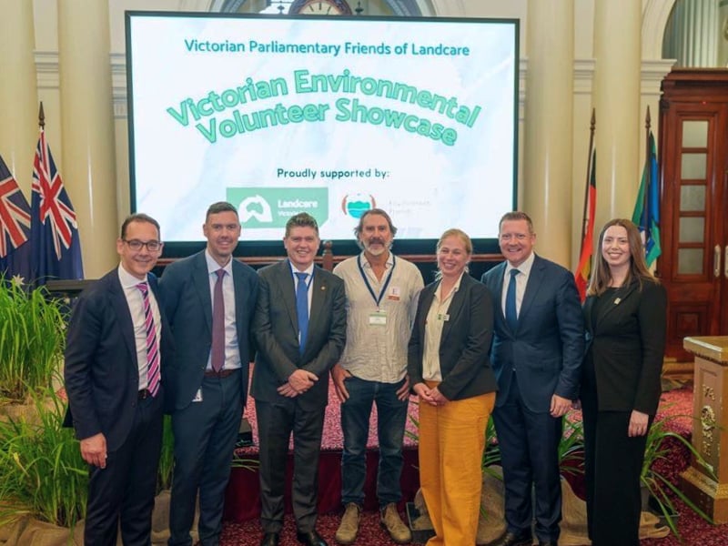Cross-party friendships supporting diverse communities